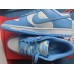 Dunk Low 'University Blue' DD1391 102