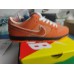 Concepts x Dunk Low SB 'Orange Lobster' FD8776 800 